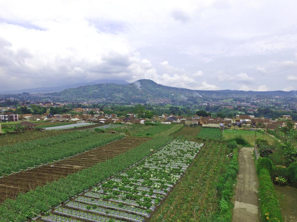 Vila Bunga Merah Gelatik Lembang Extérieur photo