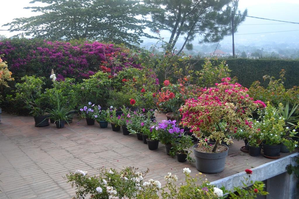Vila Bunga Merah Gelatik Lembang Extérieur photo